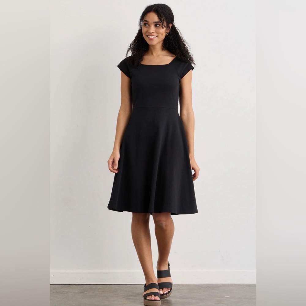 Fair Indigo Organic Cotton Black Cap-Sleeve Fit & Flare Dress - Women